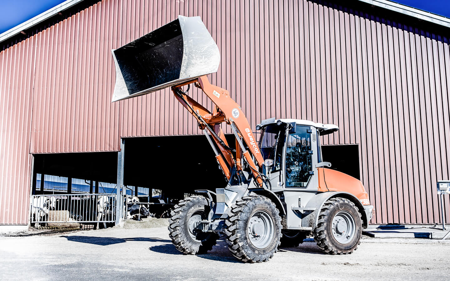 Weycor Radlader AR 560 Weycor Radlader AR 560 neu kaufen