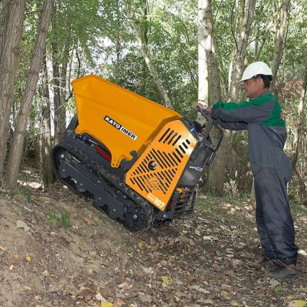 Dumper mieten bei Niklaus